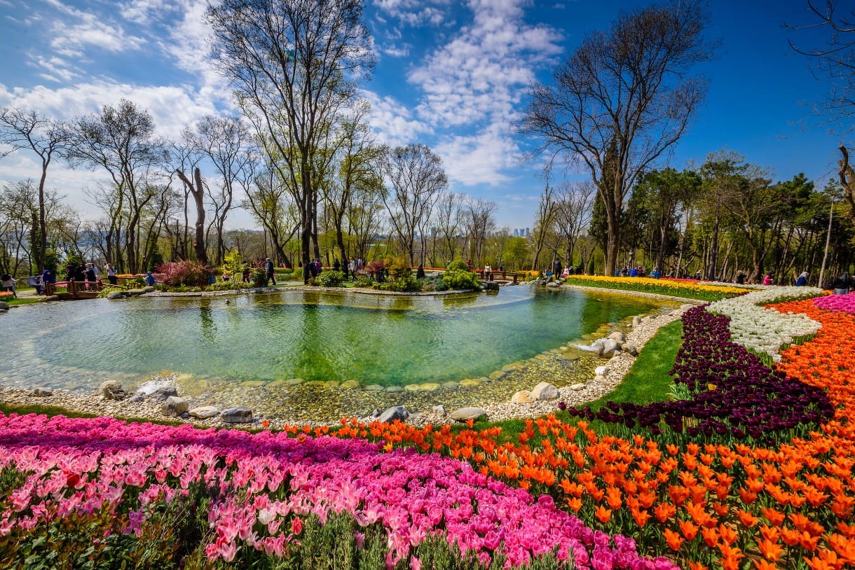 Emirgan Grove