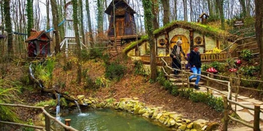 tsr00042637649869939858921